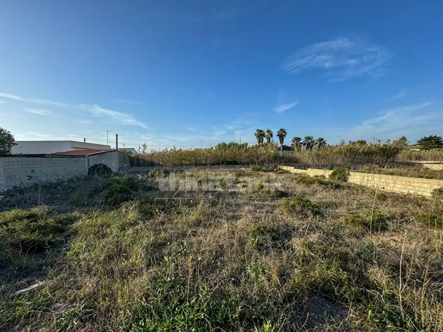 Immagine 6 di Terreno residenziale in vendita  in via delle arti a Pachino