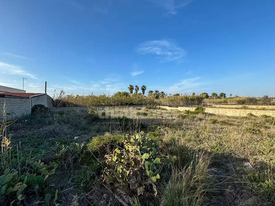 Immagine 7 di Terreno residenziale in vendita  in via delle arti a Pachino