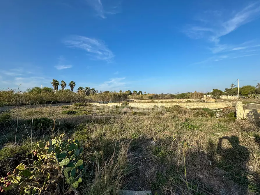 Immagine 8 di Terreno residenziale in vendita  in via delle arti a Pachino