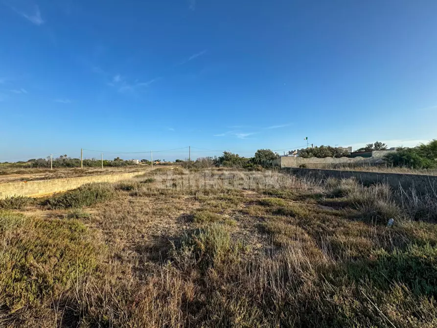 Immagine 11 di Terreno residenziale in vendita  in via delle arti a Pachino