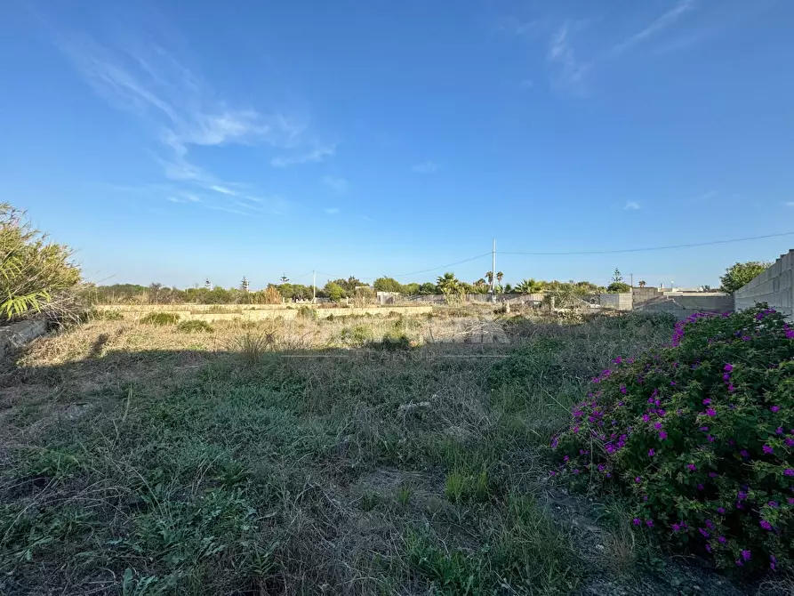 Immagine 17 di Terreno residenziale in vendita  in via delle arti a Pachino