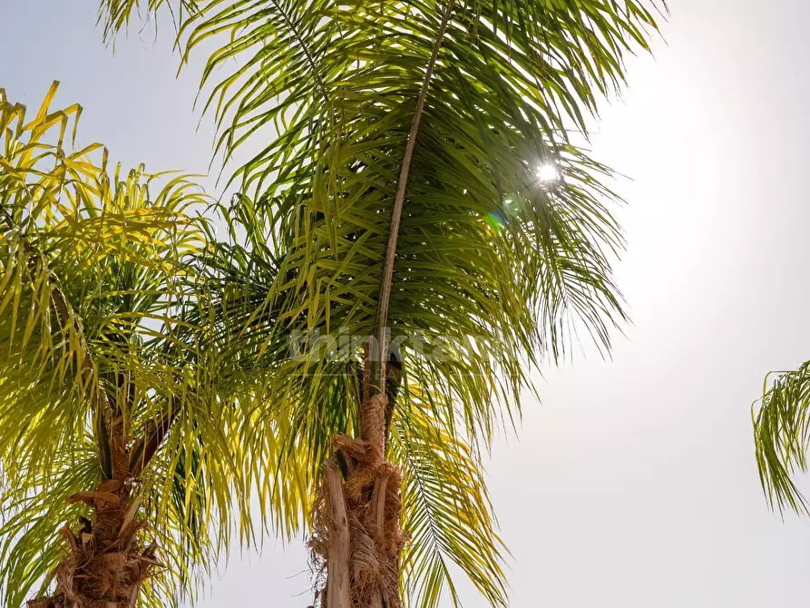 Immagine 55 di Villa in vendita  in Strada provicinale 4 snc a Avola