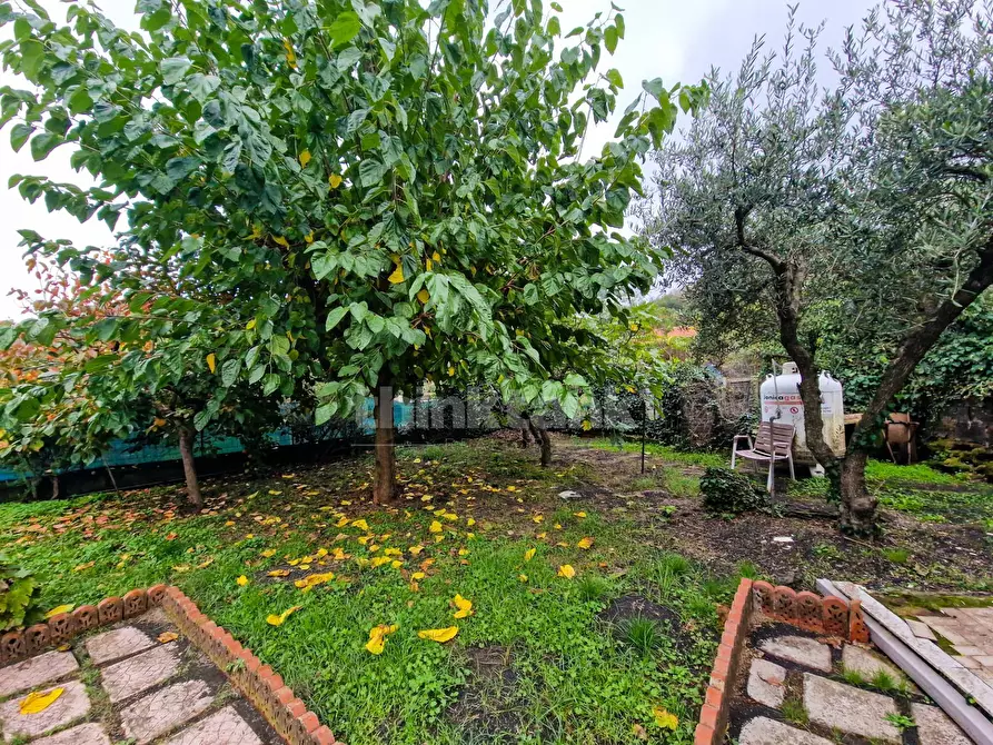 Immagine 23 di Villa in vendita  in Tarderia snc a Gravina Di Catania