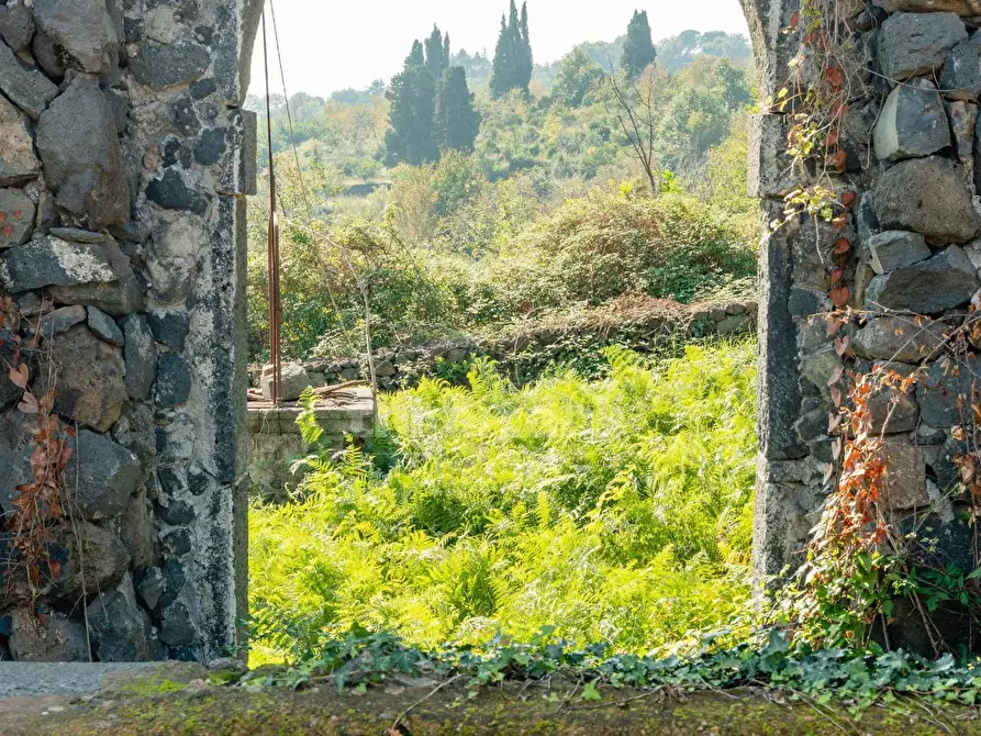 Immagine 17 di Rustico / casale in vendita  in Via filippo Meda snc a Mascali