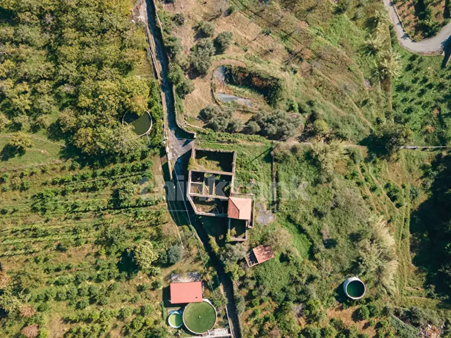 Immagine 2 di Rustico / casale in vendita  in Via filippo Meda snc a Mascali