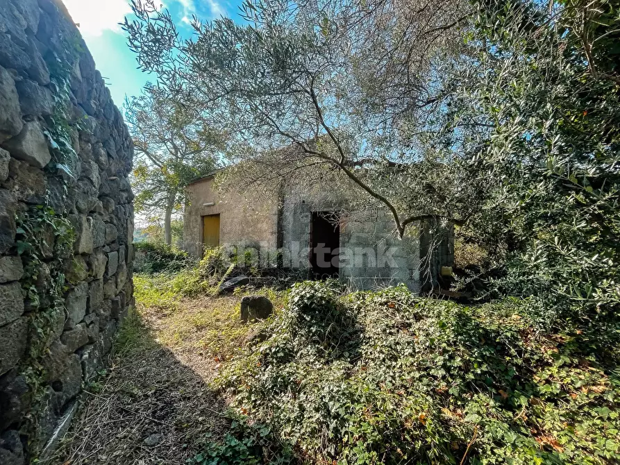 Immagine 8 di Rustico / casale in vendita  in Via filippo Meda snc a Mascali