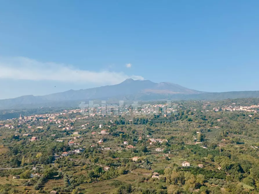 Immagine 22 di Rustico / casale in vendita  in Via filippo Meda snc a Mascali