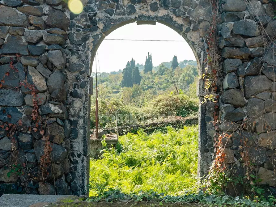 Immagine 27 di Rustico / casale in vendita  in Via filippo Meda snc a Mascali