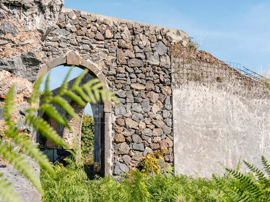 Immagine 29 di Rustico / casale in vendita  in Via filippo Meda snc a Mascali