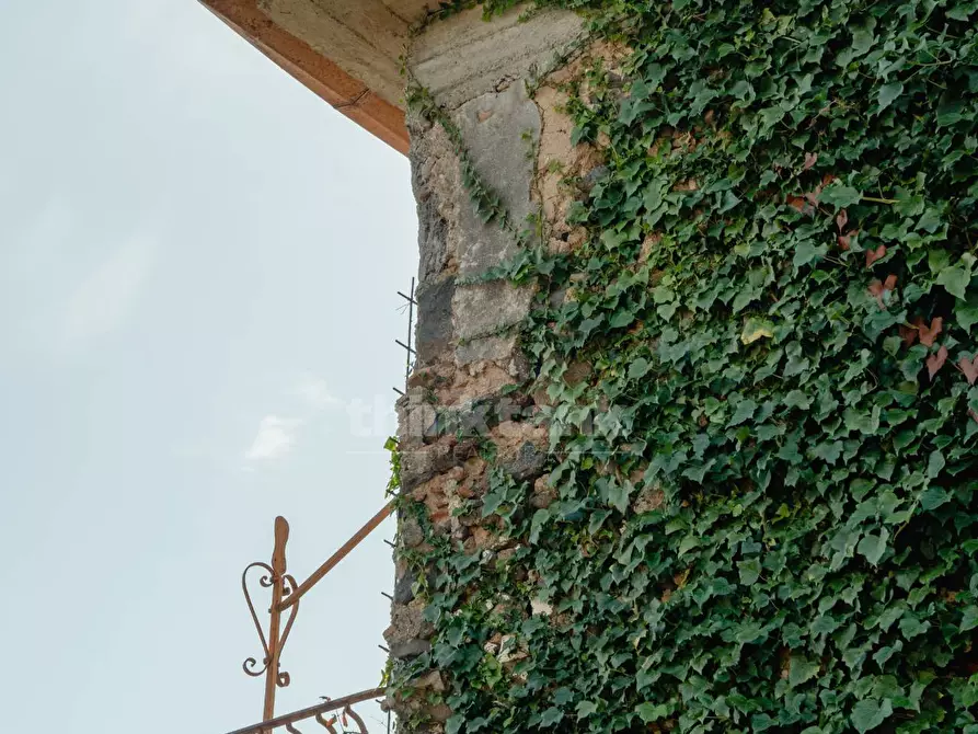 Immagine 31 di Rustico / casale in vendita  in Via filippo Meda snc a Mascali