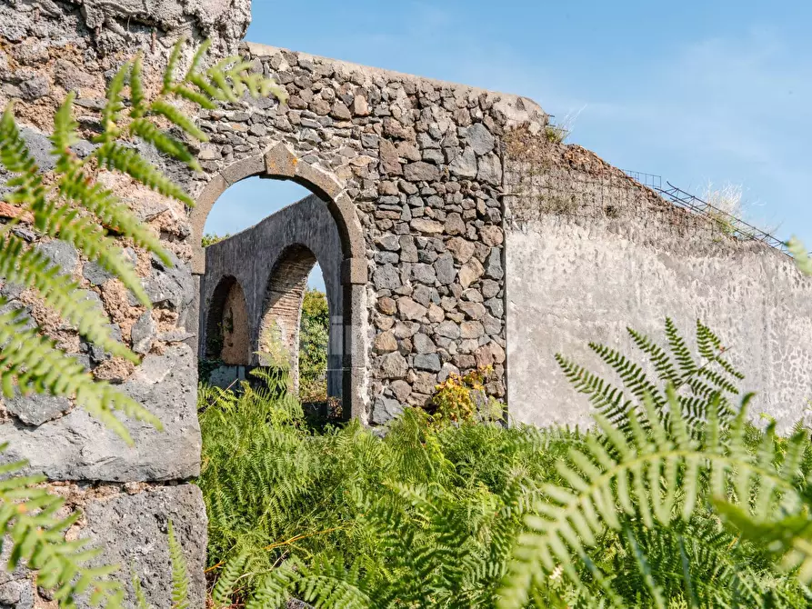 Immagine 32 di Rustico / casale in vendita  in Via filippo Meda snc a Mascali