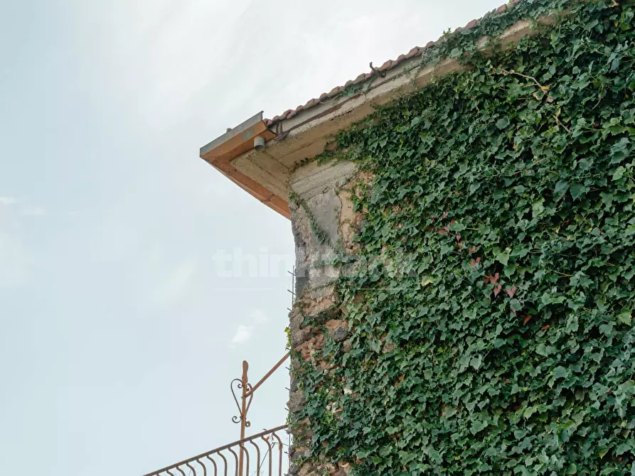 Immagine 34 di Rustico / casale in vendita  in Via filippo Meda snc a Mascali