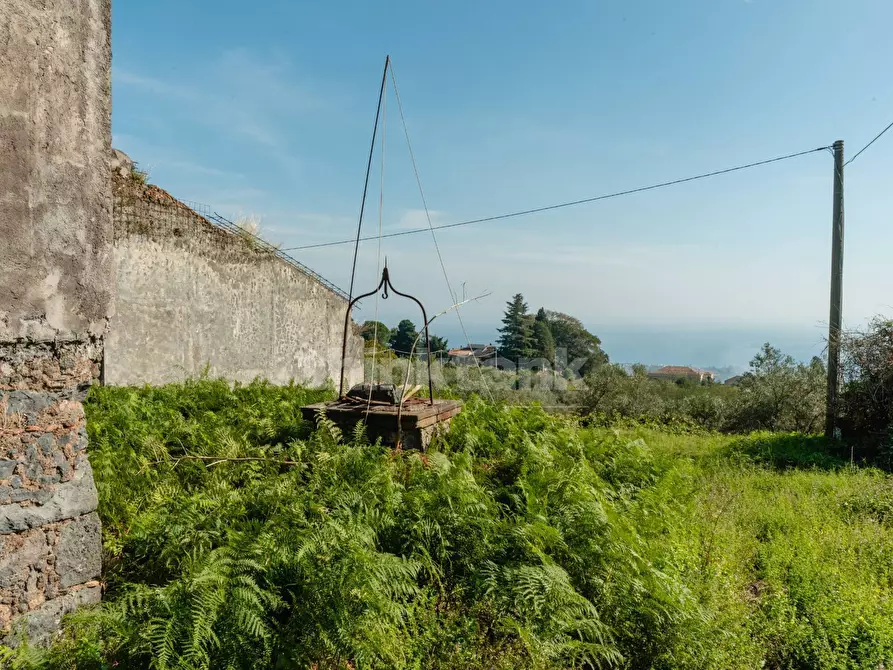 Immagine 7 di Rustico / casale in vendita  in Via filippo Meda snc a Mascali