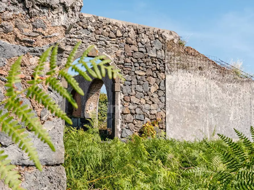 Immagine 36 di Rustico / casale in vendita  in Via filippo Meda snc a Mascali