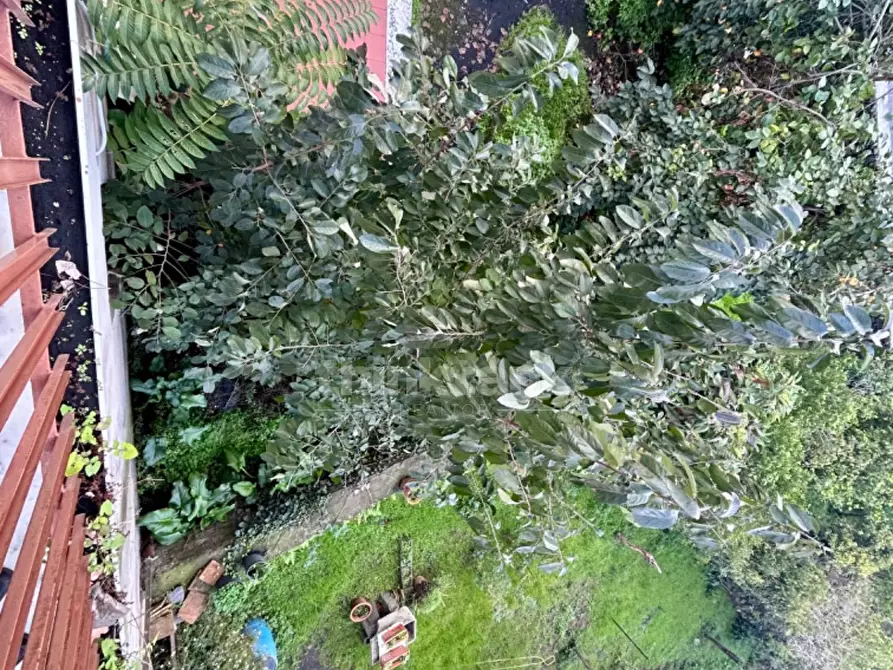 Immagine 25 di Appartamento in vendita  in via duca d'aosta 13 a San Giovanni La Punta