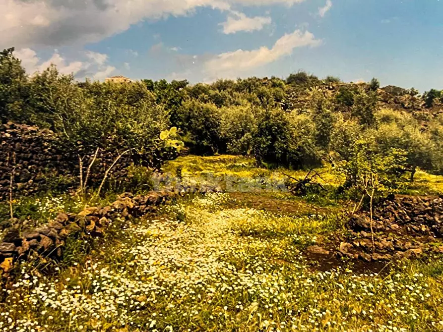 Immagine 7 di Rustico / casale in vendita  in Contrada Capreria snc a Gravina Di Catania