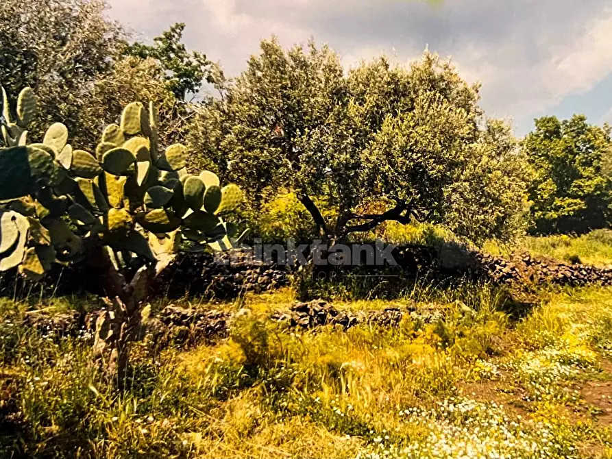 Immagine 8 di Rustico / casale in vendita  in Contrada Capreria snc a Gravina Di Catania