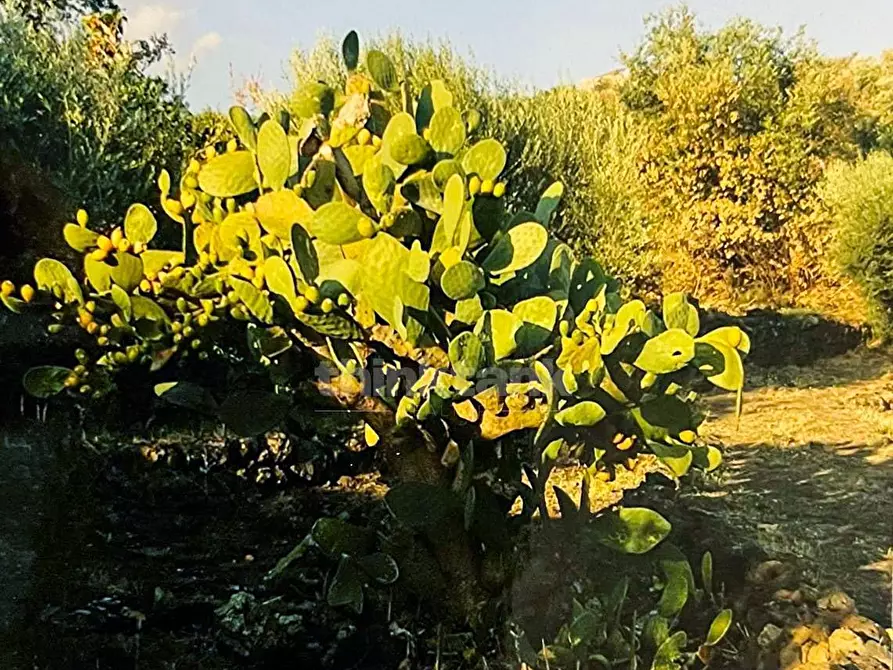 Immagine 10 di Rustico / casale in vendita  in Contrada Capreria snc a Gravina Di Catania