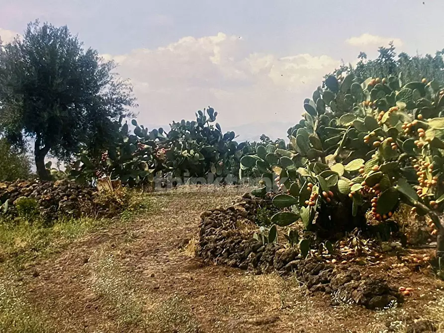 Immagine 11 di Rustico / casale in vendita  in Contrada Capreria snc a Gravina Di Catania