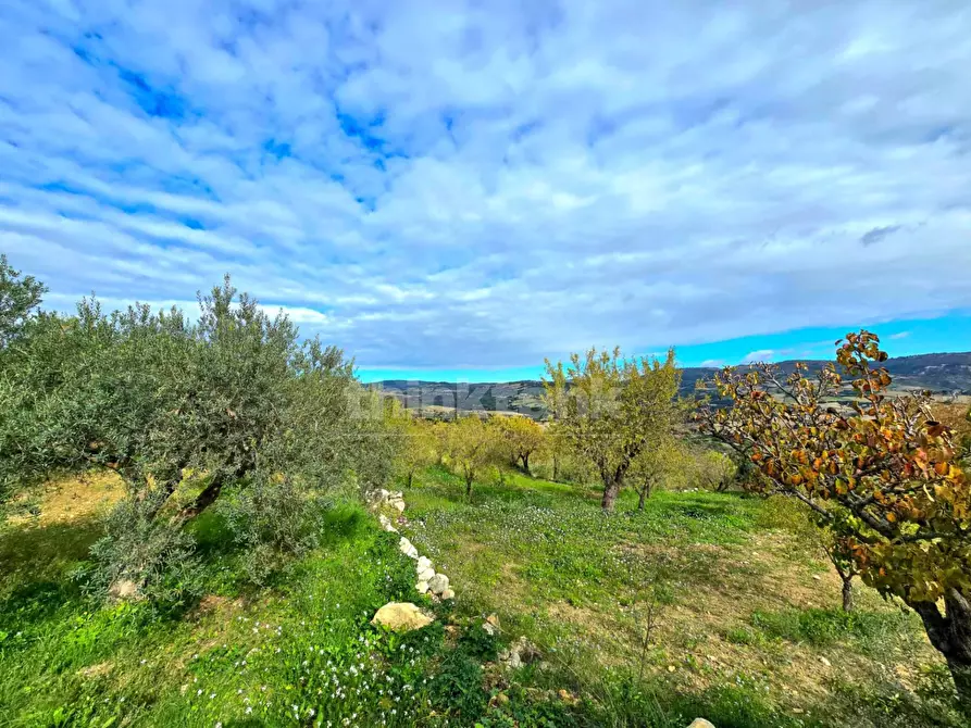 Immagine 18 di Villa in vendita  in via san Giacomo snc a Modica