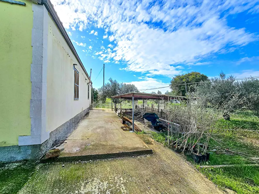 Immagine 15 di Villa in vendita  in via san Giacomo snc a Modica