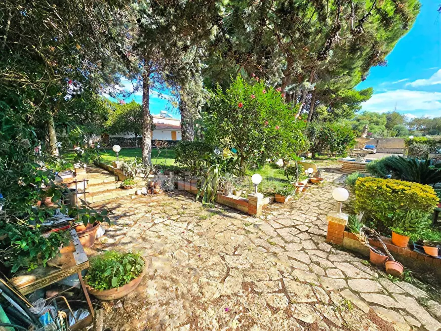 Immagine 38 di Villa in vendita  in via strada circonvallazione snc a Vittoria