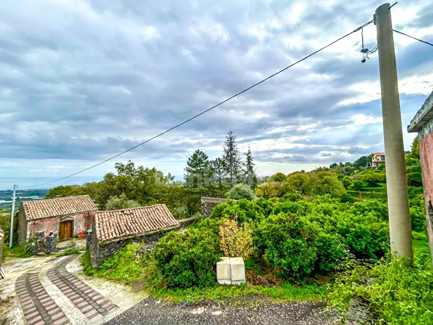Immagine 10 di Casa indipendente in vendita  in via domenico nicolosi snc a Mascali