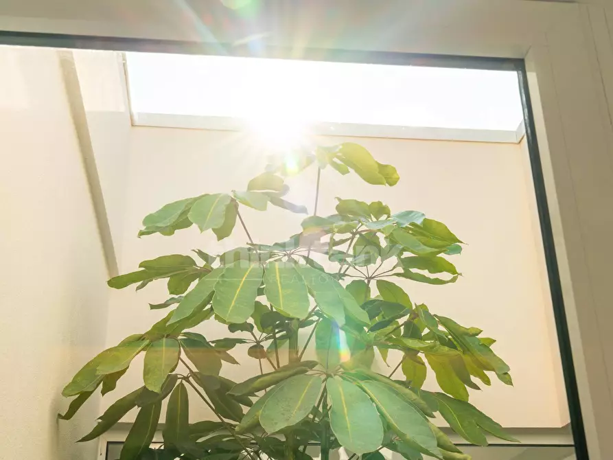 Immagine 13 di Villa in vendita  in via dei fiordalisi a Ispica