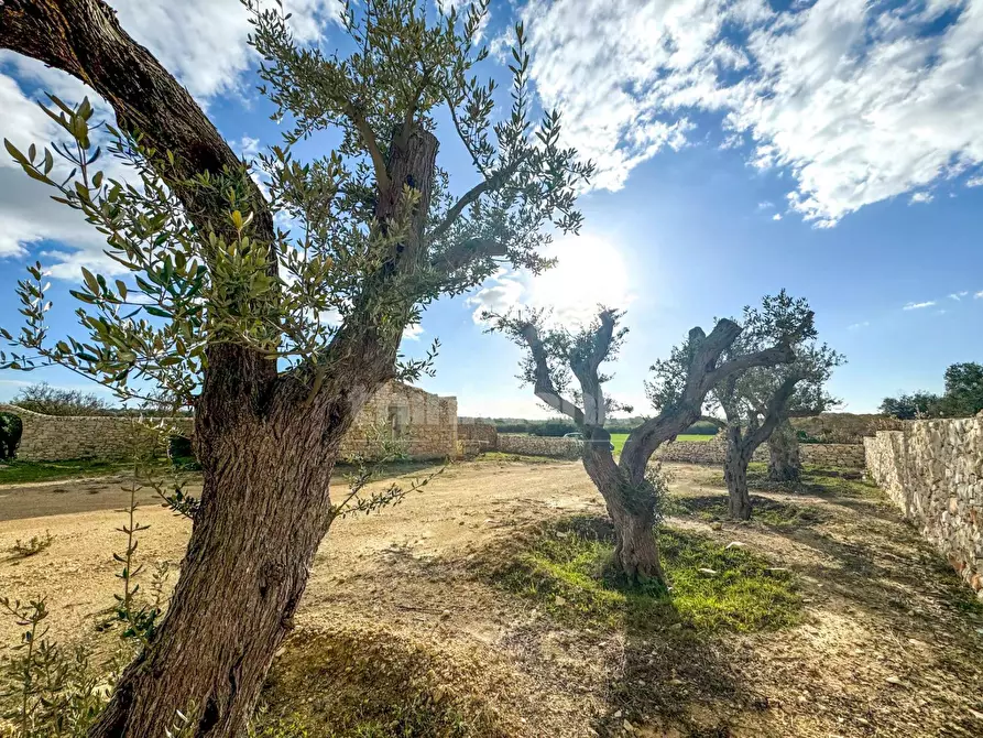 Immagine 6 di Rustico / casale in vendita  in contrada Buonivini a Noto