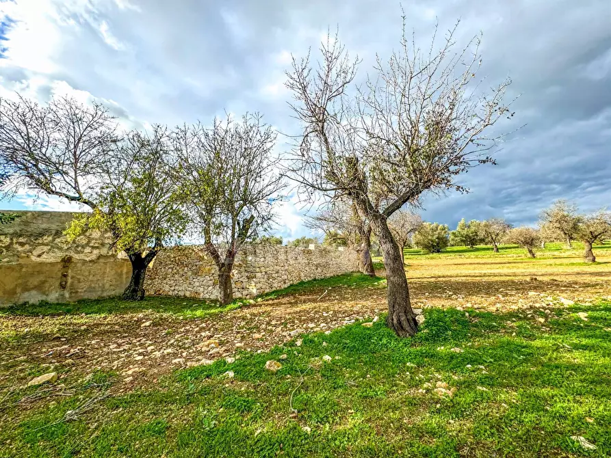 Immagine 14 di Rustico / casale in vendita  in contrada Buonivini a Noto