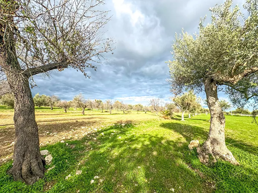 Immagine 15 di Rustico / casale in vendita  in contrada Buonivini a Noto