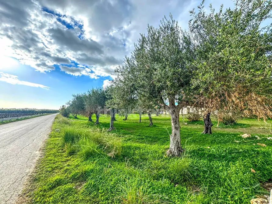 Immagine 19 di Rustico / casale in vendita  in contrada Buonivini a Noto