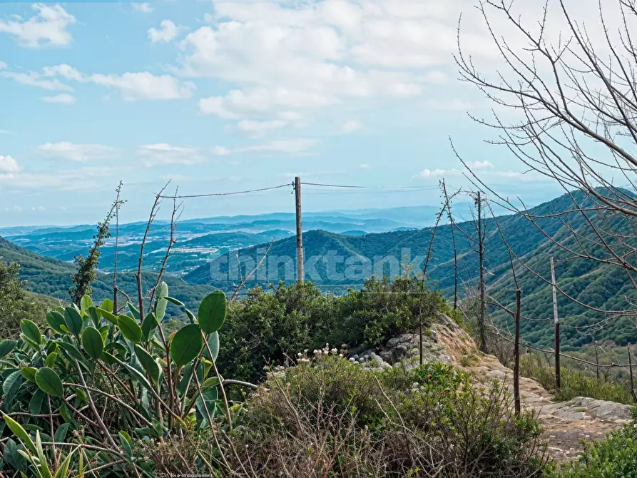 Immagine 21 di Rustico / casale in vendita  in acqualorto snc a Antillo