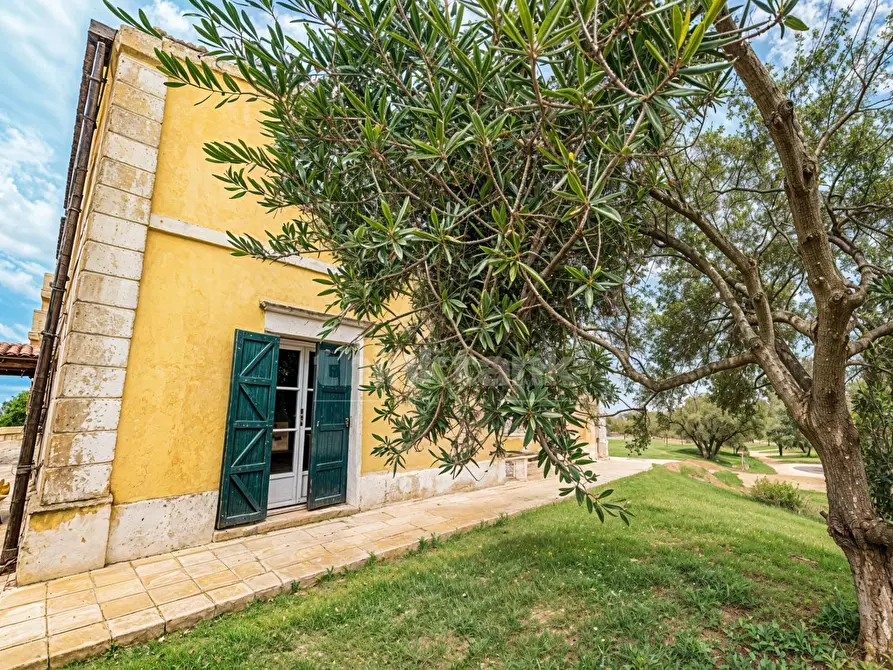 Immagine 6 di Villa in vendita  in contrada musebbi snc a Modica