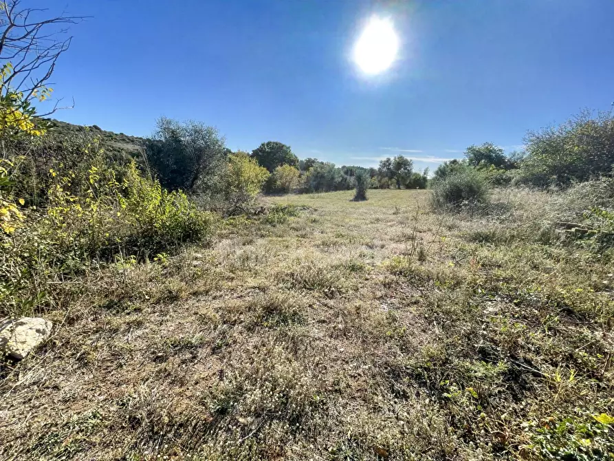 Immagine 46 di Rustico / casale in vendita  in sp 287 a Noto