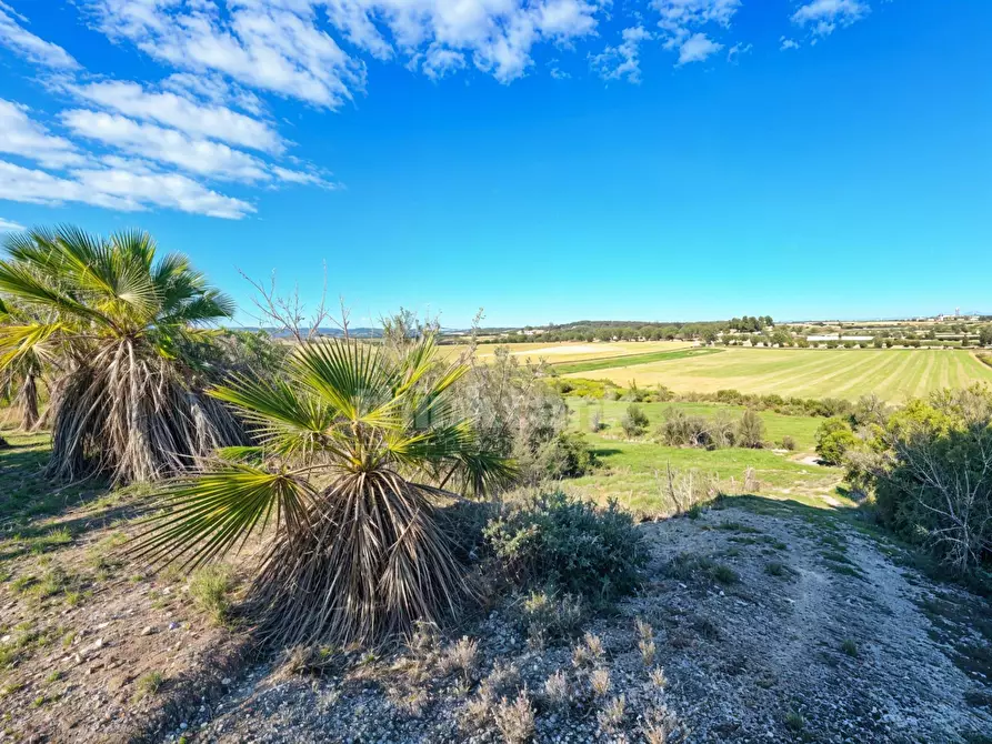 Immagine 5 di Villa in vendita  in Contrada Iannazzu snc a Ispica