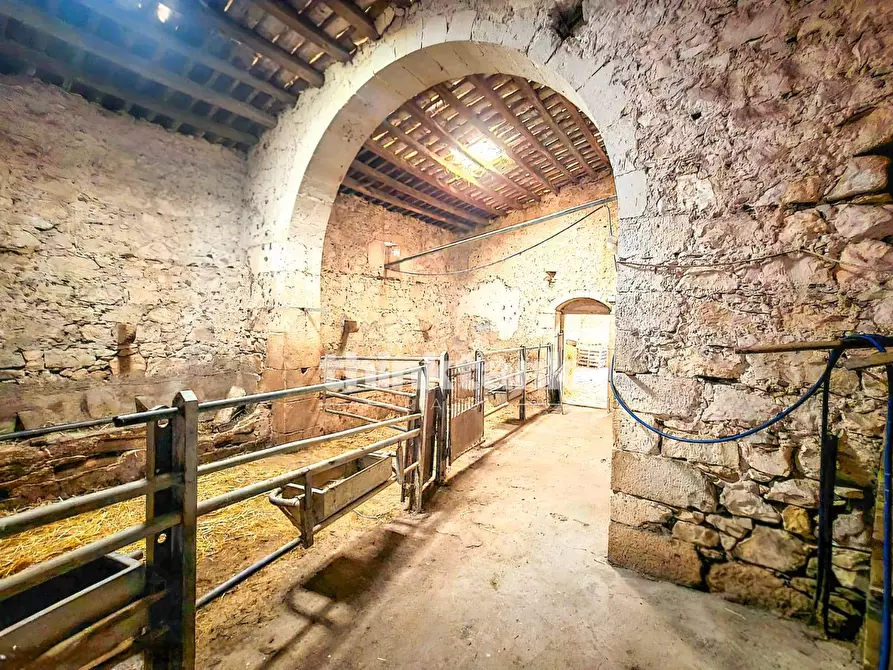 Immagine 19 di Rustico / casale in vendita  in SS514 a Ragusa