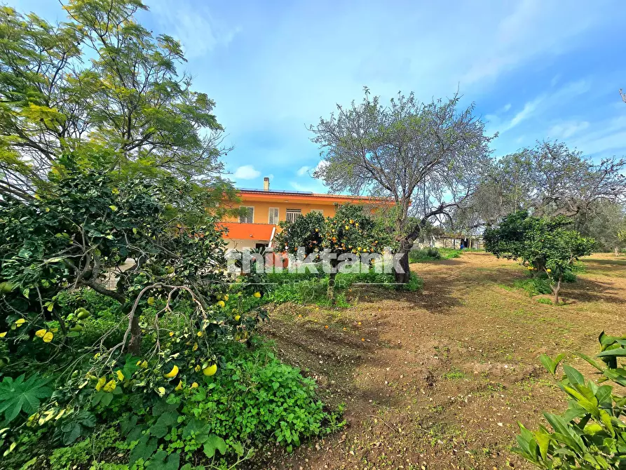 Immagine 6 di Villa in vendita  in Via del Giglio a Pozzallo