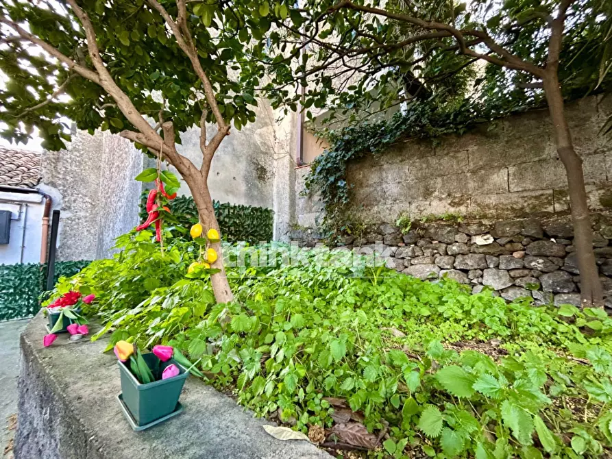 Immagine 20 di Casa indipendente in vendita  in Corso Michelangelo Buonarotti snc a Trecastagni