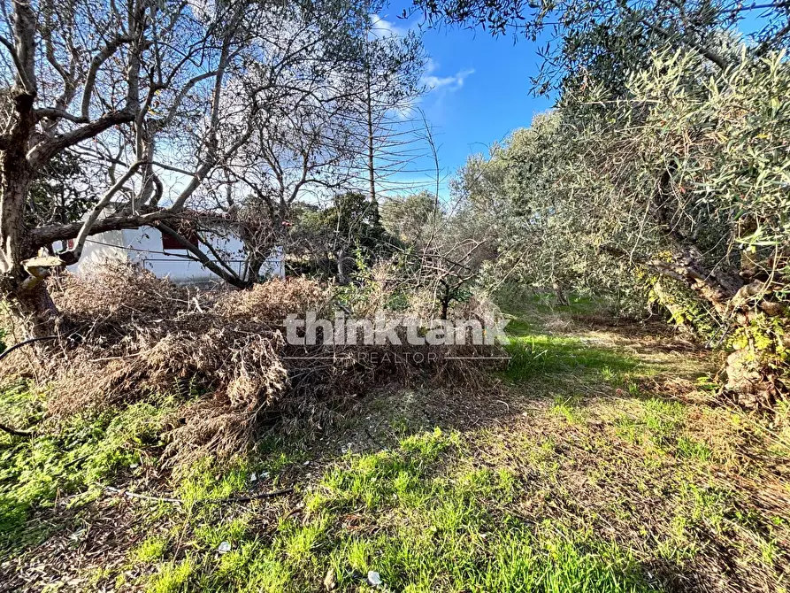 Immagine 15 di Terreno residenziale in vendita  in Via Gaetano Gubernale a Siracusa