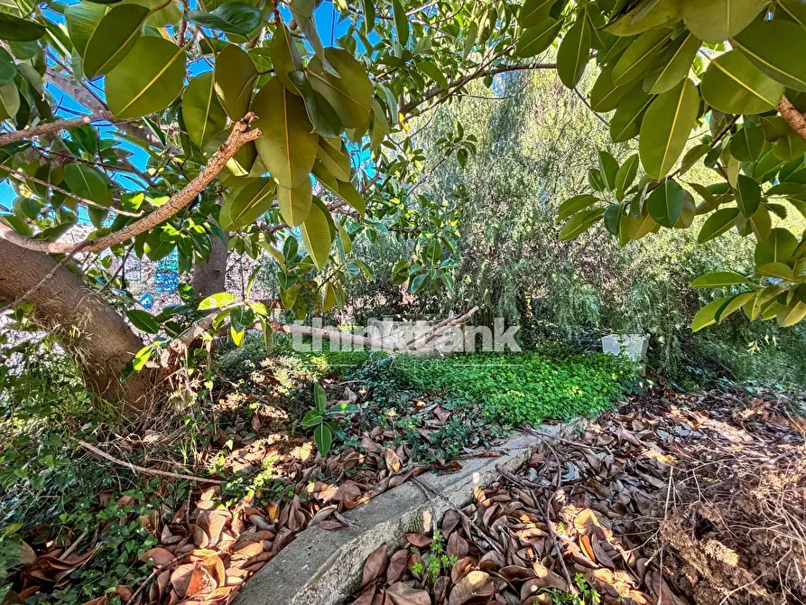 Immagine 24 di Villa in vendita  in Via Volpicelli a Siracusa