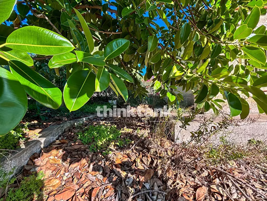 Immagine 23 di Villa in vendita  in Via Volpicelli a Siracusa