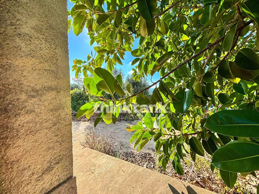 Immagine 21 di Villa in vendita  in Via Volpicelli a Siracusa