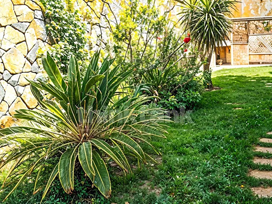 Immagine 32 di Villa in vendita  in canfarella snc a Gravina Di Catania