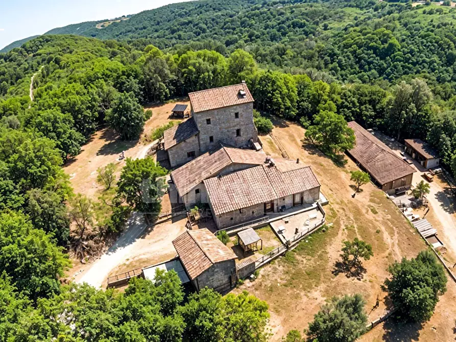 Immagine 3 di Rustico / casale in vendita  in Chiusdino snc a Siena