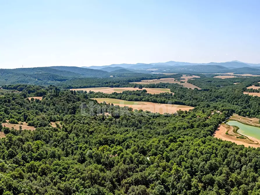 Immagine 12 di Rustico / casale in vendita  in Chiusdino snc a Siena