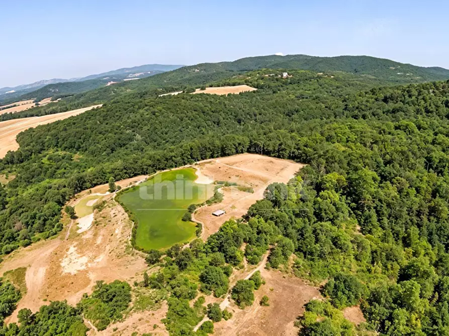 Immagine 18 di Rustico / casale in vendita  in Chiusdino snc a Siena