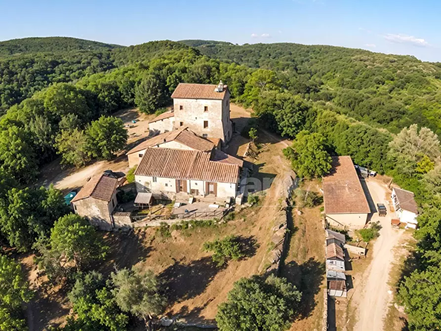 Immagine 19 di Rustico / casale in vendita  in Chiusdino snc a Siena