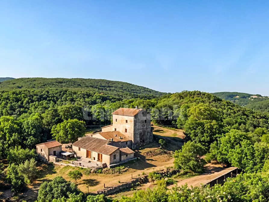 Immagine 1 di Rustico / casale in vendita  in Chiusdino snc a Siena