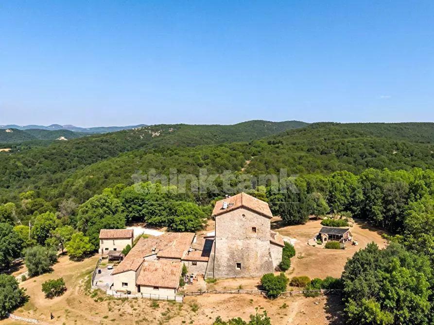 Immagine 8 di Rustico / casale in vendita  in Chiusdino snc a Siena